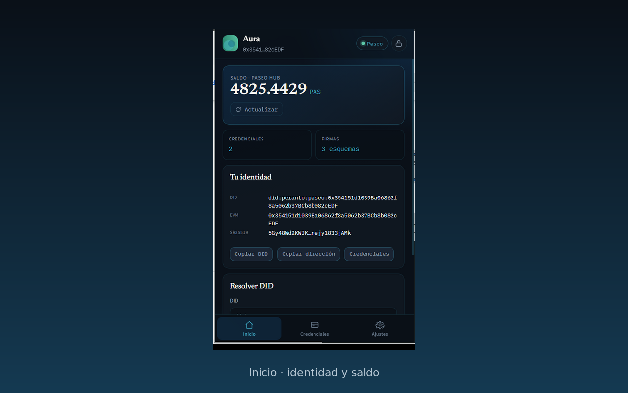 Captura de Aura Wallet — inicio